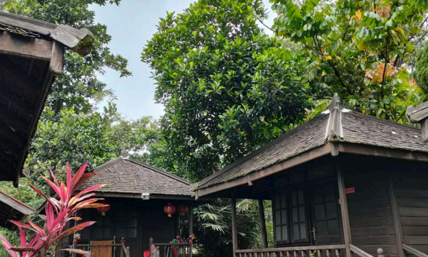 Rencana Buddha Berdiri